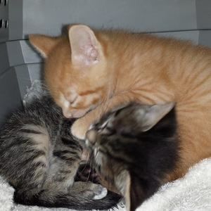 Meet your Posher, Meredith